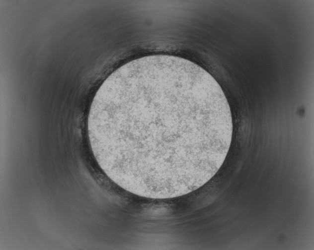X0000115770643200912241751