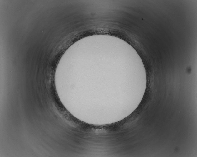 X0000115770645200912241751