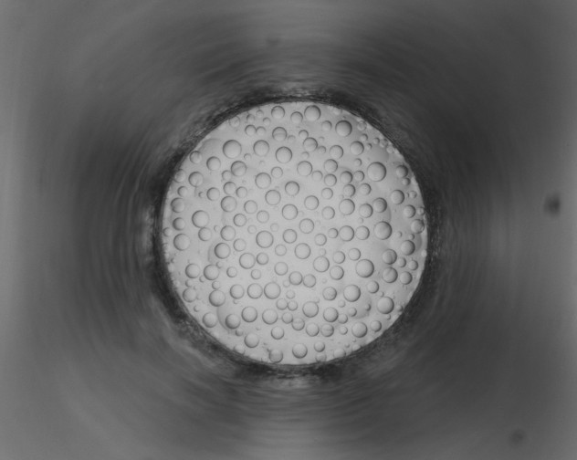 X0000115770646200912241751