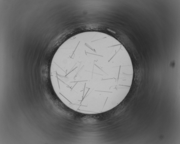 X0000115770648200912241751