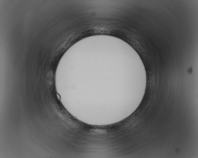 X0000115770649200912241751