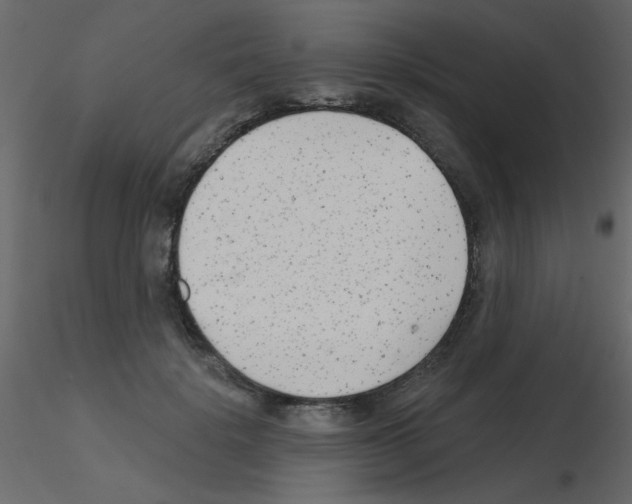 X0000115770652200912241751