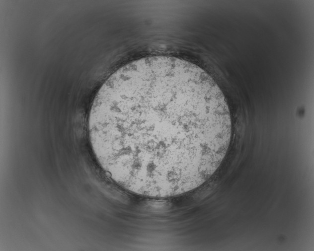 X0000115770659200912241751