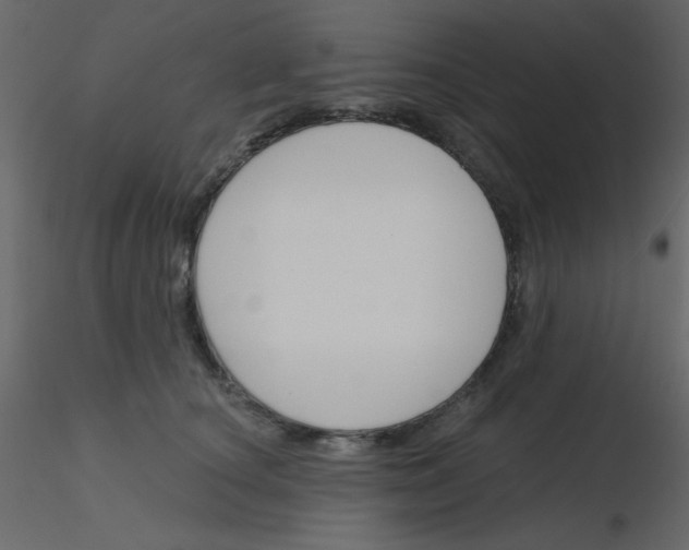 X0000115770660200912241751