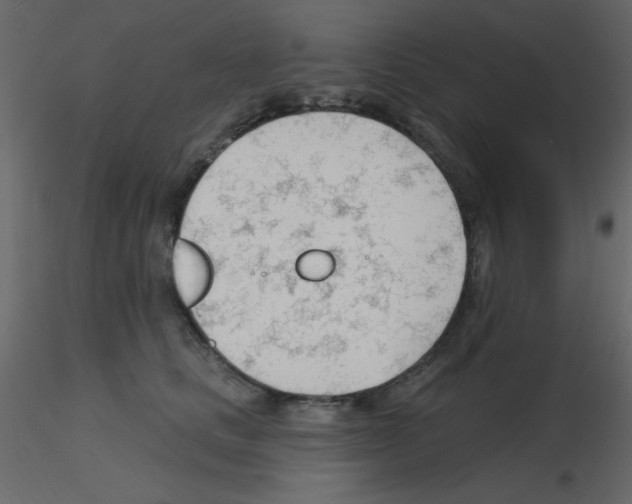 X0000115770661200912241751