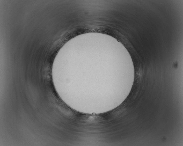 X0000115770663200912241751