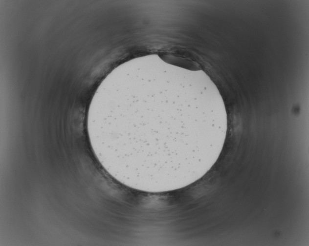 X0000115770664200912241751