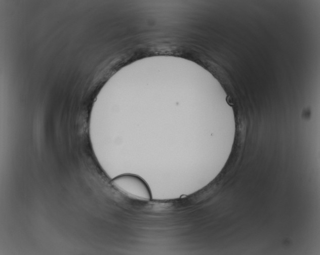 X0000115770665200912241751