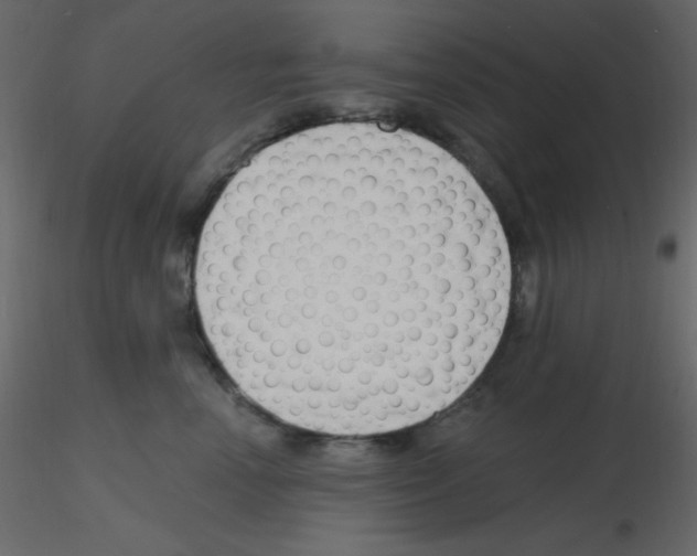 X0000115770666200912241751