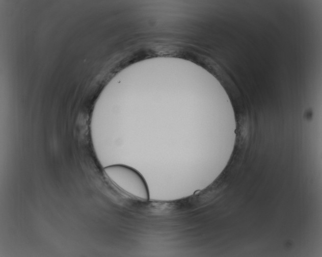 X0000115770667200912241751