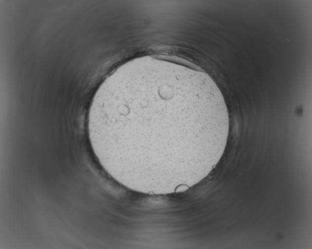 X0000115770668200912241751