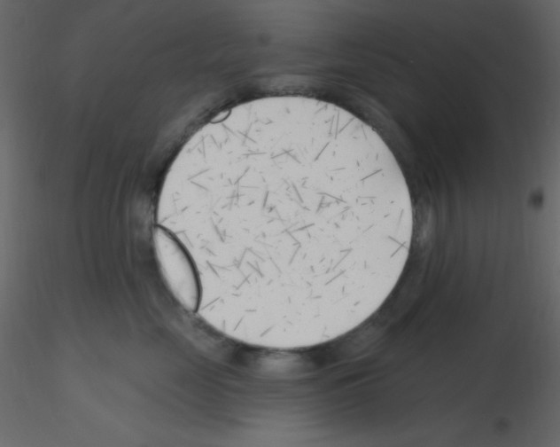 X0000115770669200912241751