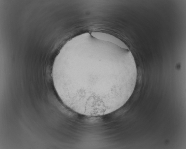X0000115770670200912241751