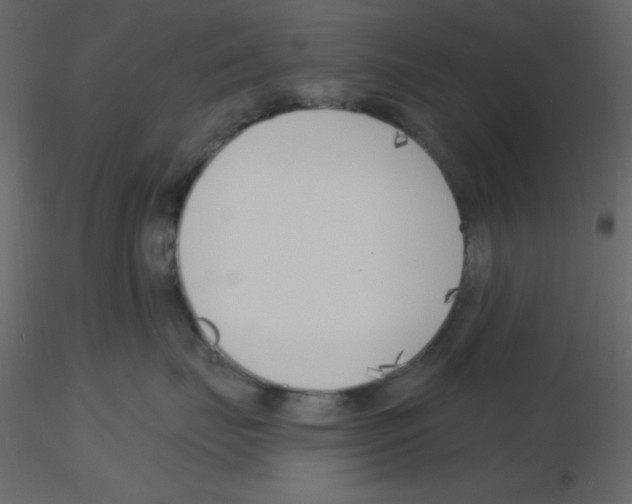 X0000115770671200912241751