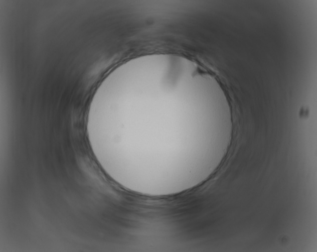 X0000115770672200912241751