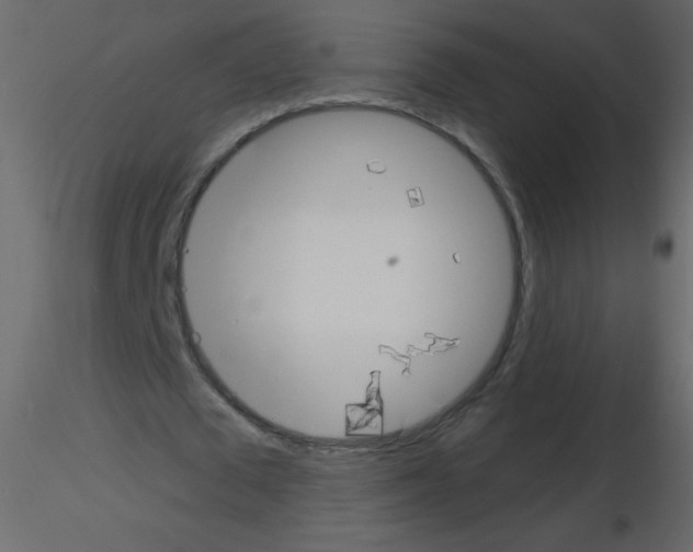 X0000115770673200912241750