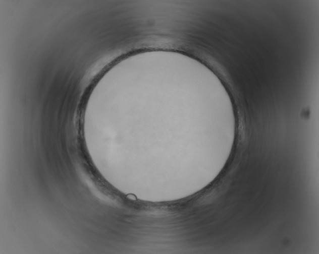 X0000115770674200912241750