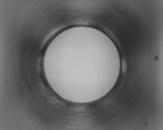 X0000115770675200912241750