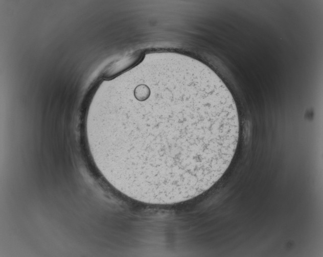 X0000115770676200912241750
