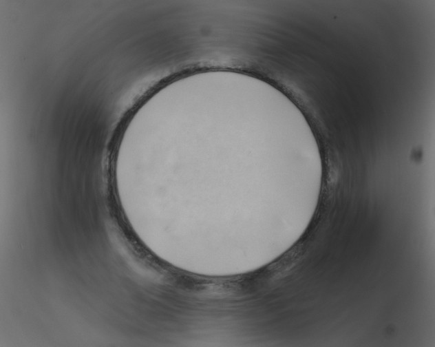 X0000115770678200912241750