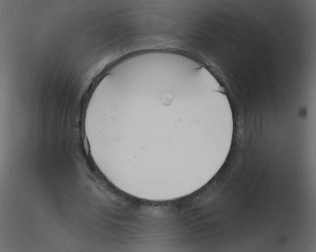 X0000115770679200912241750