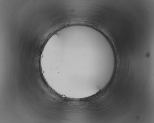 X0000115770681200912241750