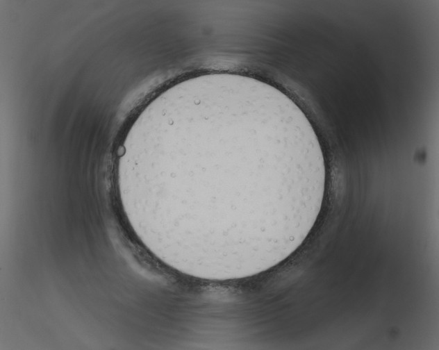 X0000115770682200912241750