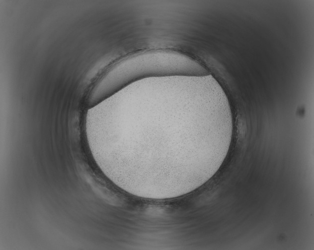 X0000115770684200912241750