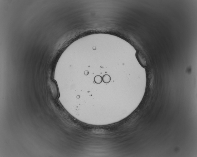 X0000115770685200912241750