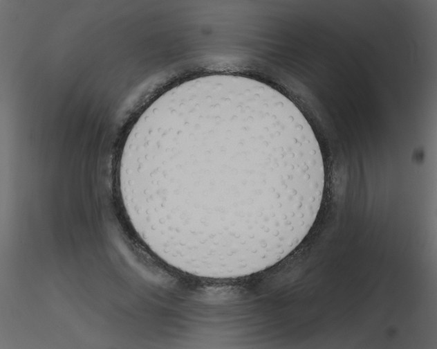 X0000115770686200912241750