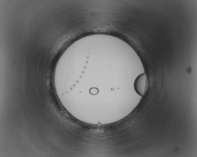 X0000115770687200912241750