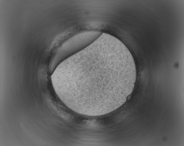 X0000115770688200912241750
