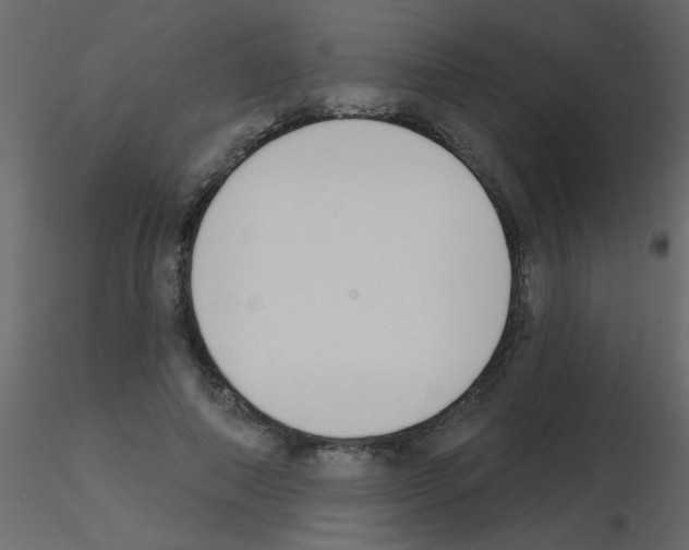 X0000115770690200912241750