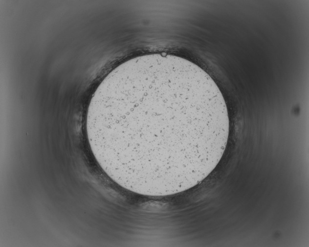 X0000115770691200912241750