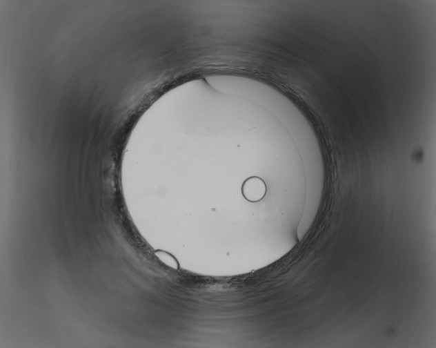 X0000115770692200912241750