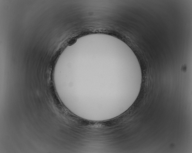 X0000115770695200912241750