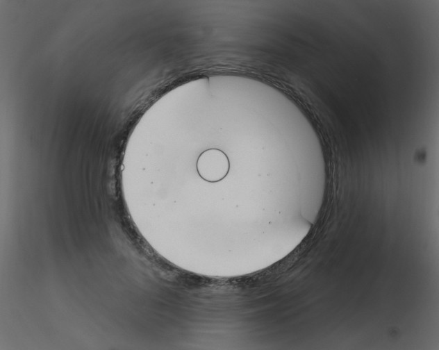 X0000115770696200912241750