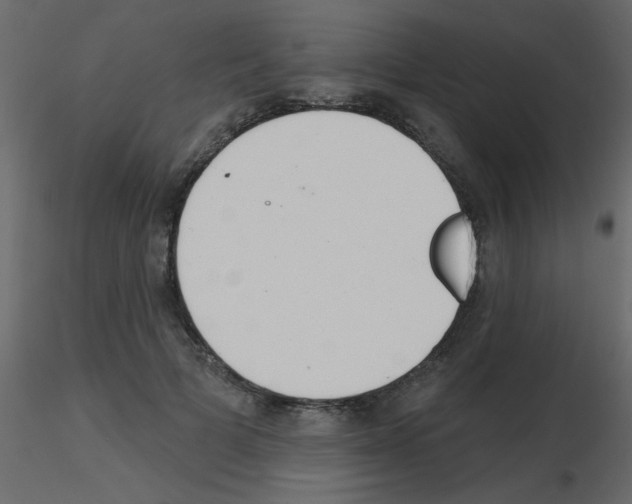 X0000115770697200912241750