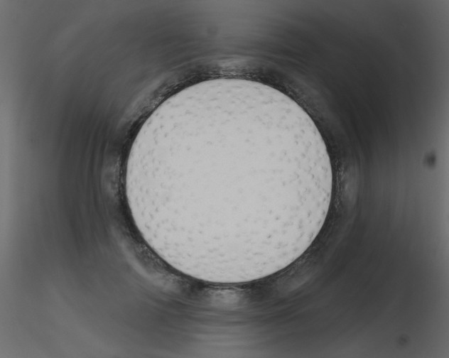 X0000115770698200912241750