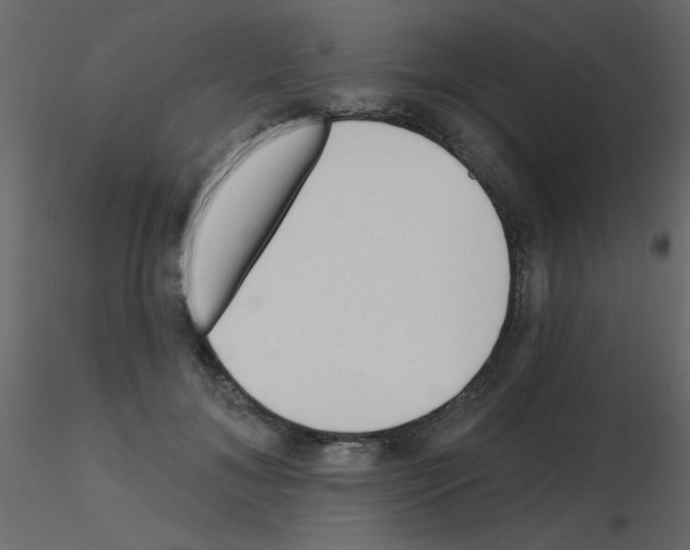 X0000115770700200912241750