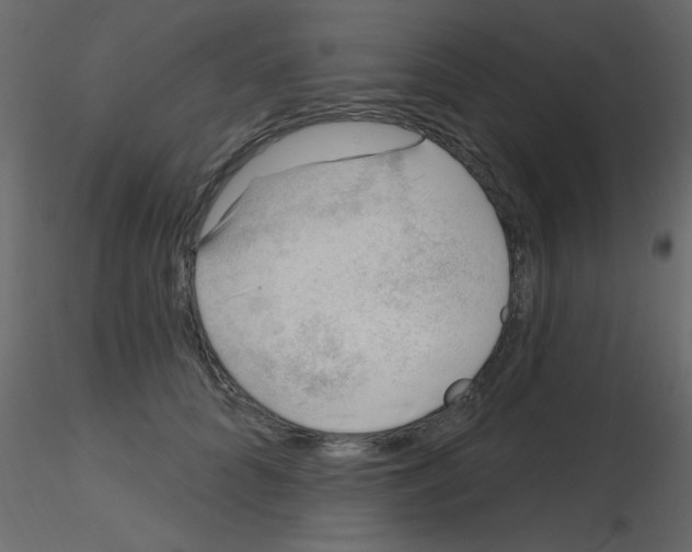 X0000115770704200912241750