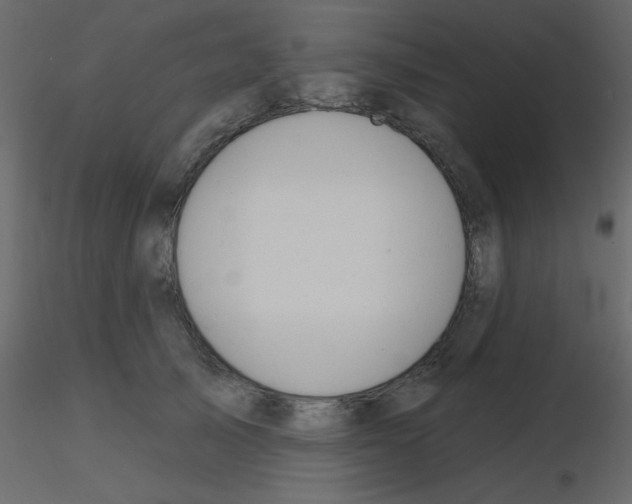 X0000115770705200912241750
