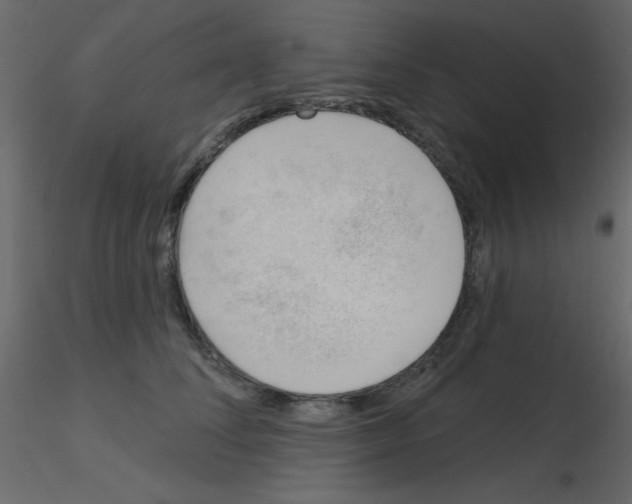X0000115770708200912241750
