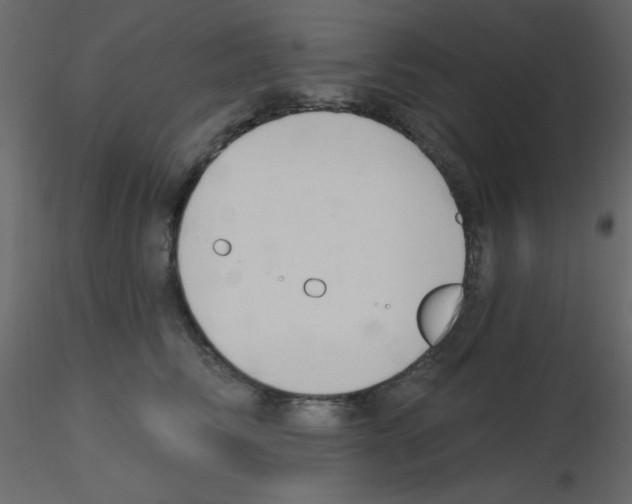 X0000115770710200912241750