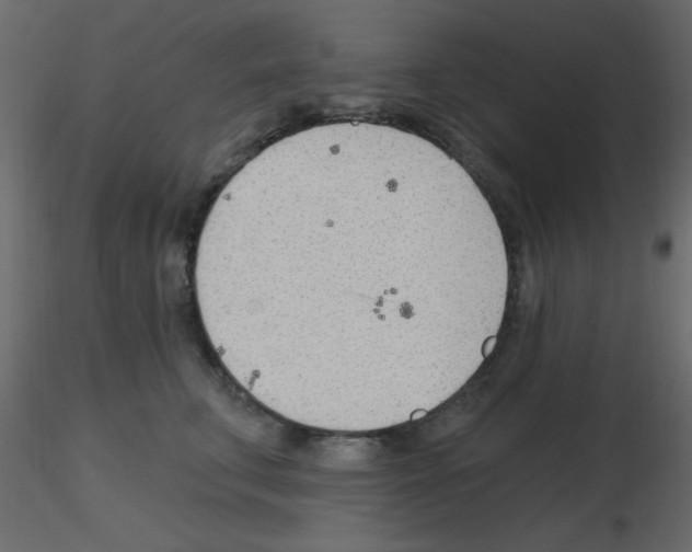 X0000115770711200912241750