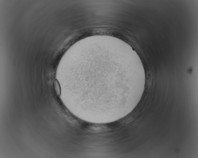 X0000115770712200912241750