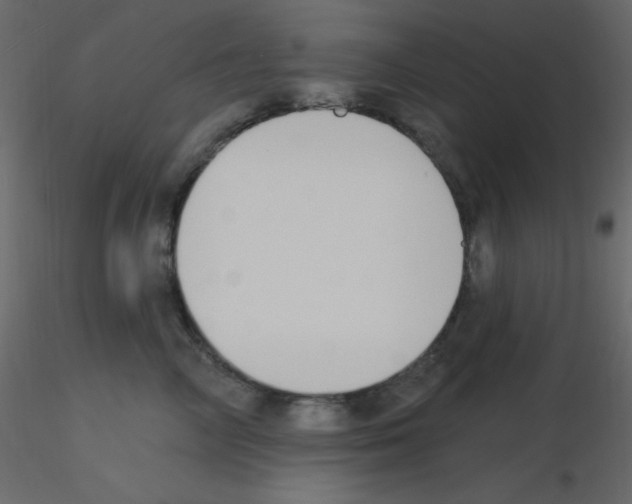 X0000115770714200912241750
