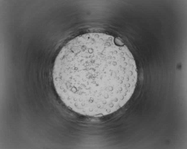 X0000115770715200912241750