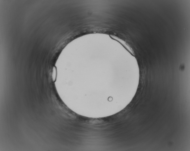 X0000115770716200912241750