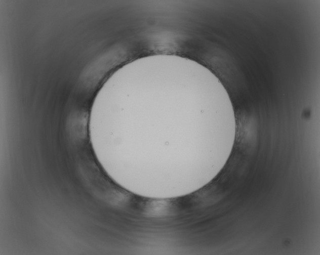X0000115770717200912241750